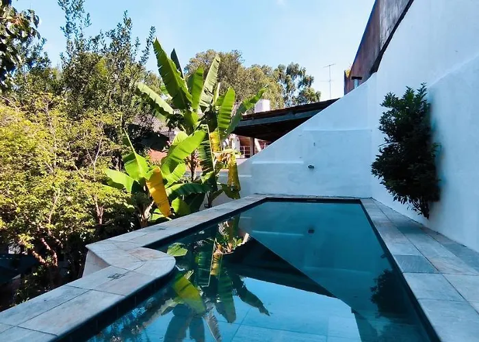 Piscina E Sol Na Vila Madalena